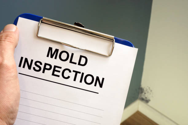 Asbestos and Lead Testing During Mold Inspection in South Woodstock, CT